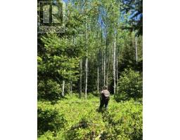 38.24 Acres In Ogden Township - Pcl 24640, Timmins, ON P4N7C2 Photo 9