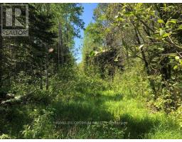 38.24 Acres In Ogden Township - Pcl 24640, Timmins, ON P4N7C2 Photo 6