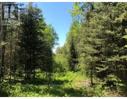 38.24 Acres In Ogden Township - Pcl 24640, Timmins, ON P4N7C2 Photo 8