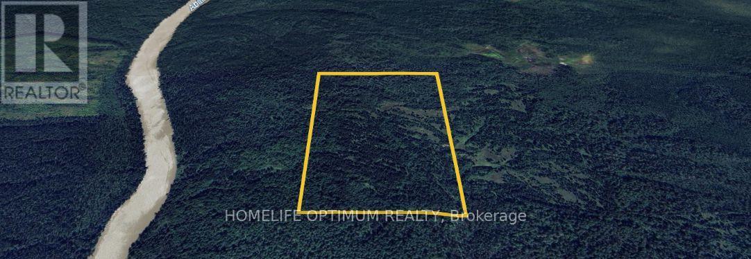 75.25 ACRES IN PYNE TOWNSHIP - PCL 4952