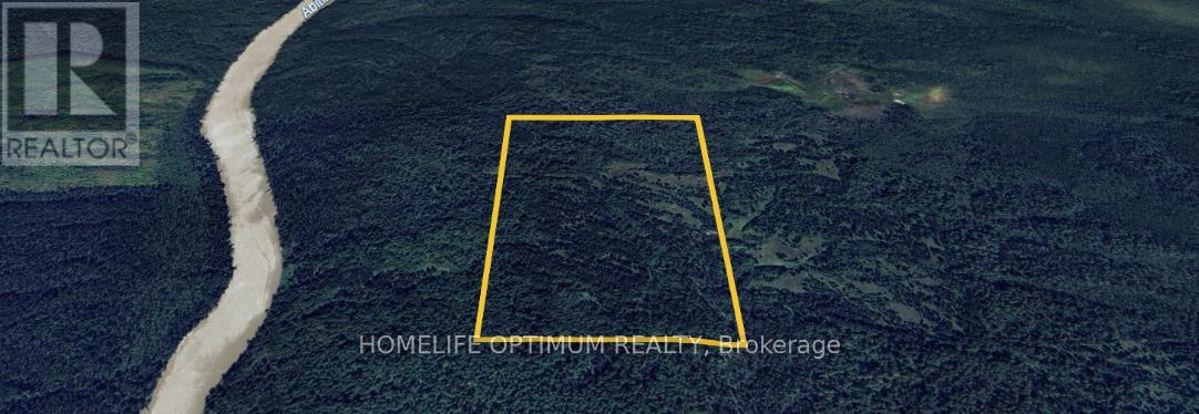 75.25 ACRES IN PYNE TOWNSHIP - PCL 4952