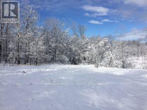 50 ACRES IN MUSKOKA NORTH OF BALA PCL 31045 — photo 23