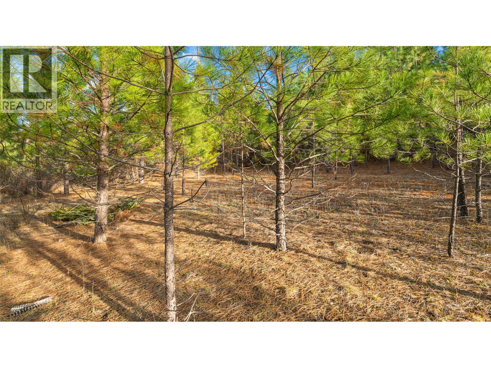 2075 HIGHLAND CRESCENT - Image 3