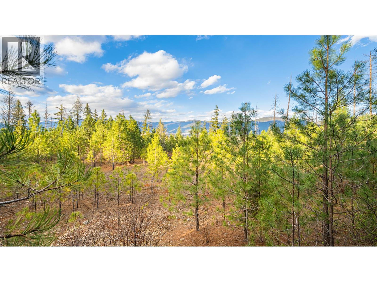 2075 HIGHLAND CRESCENT - 6