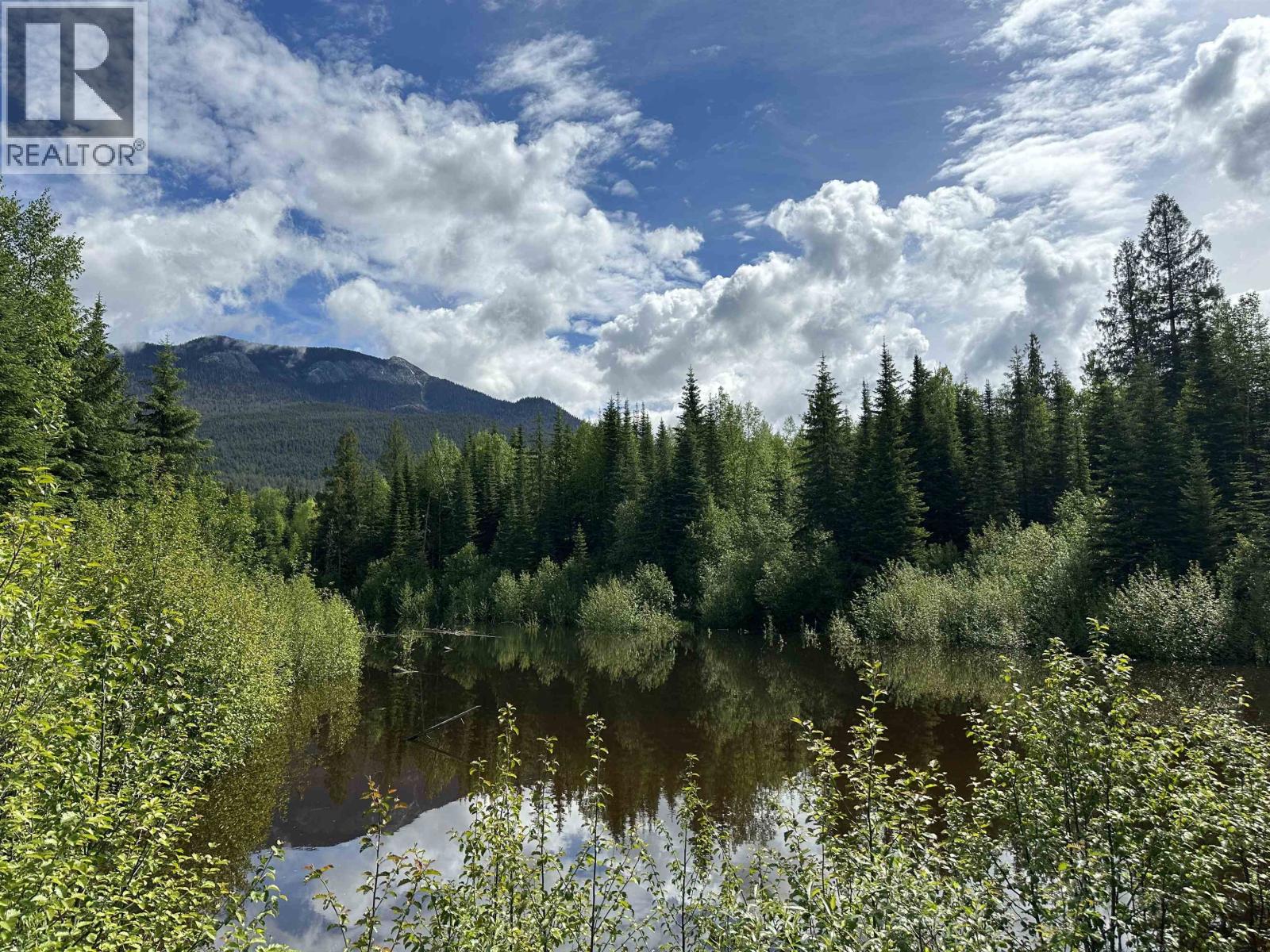 40095 UPPER FRASER ROAD - 35