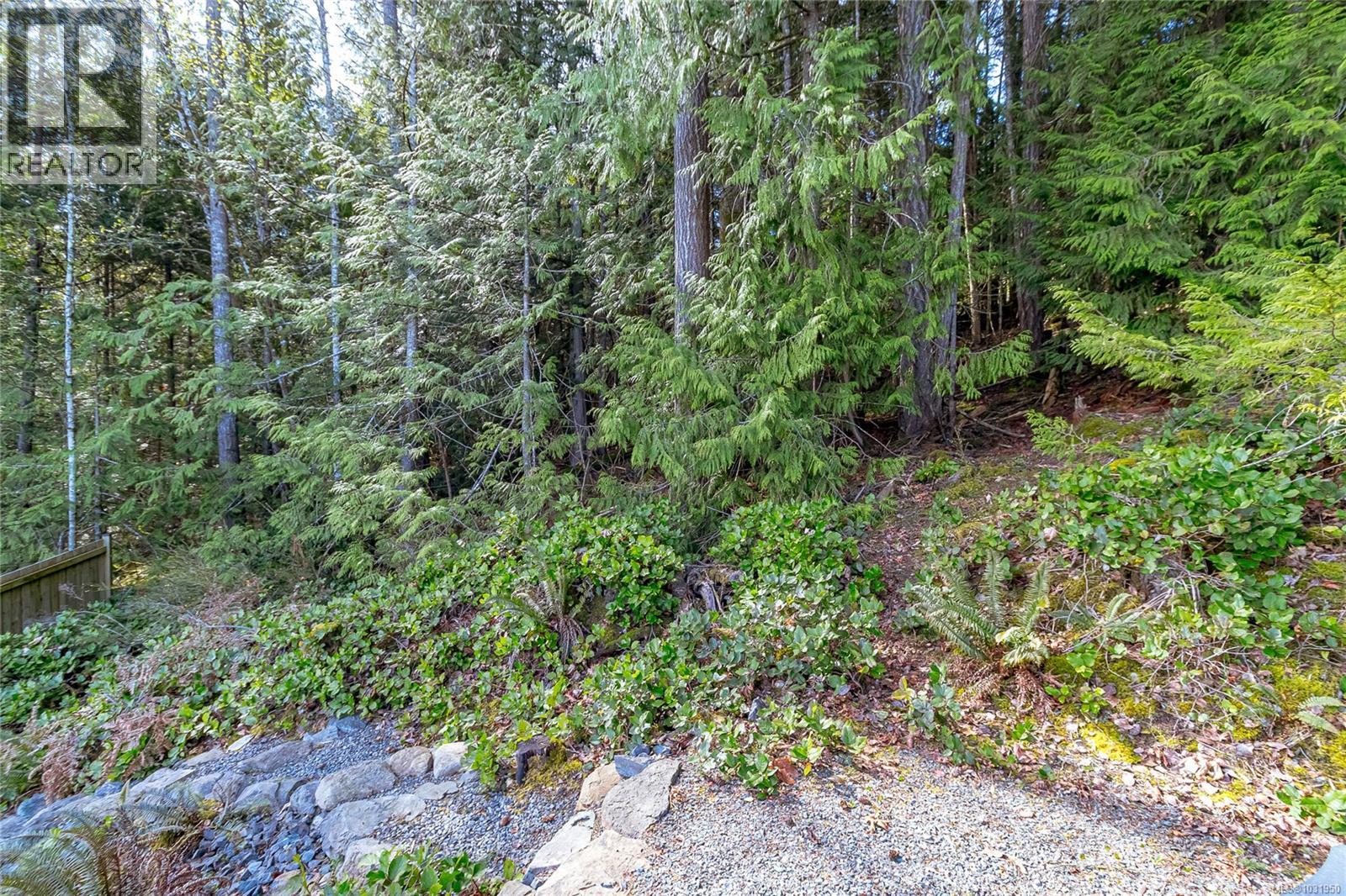 944 Craig Rd - 51