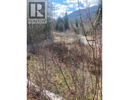 Kittyhawk Road Lot# Lot B, Kitchener, BC V0B1W1 Photo 8