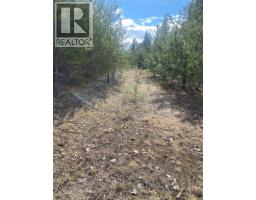 Kittyhawk Road Lot# Lot B, Kitchener, BC V0B1W1 Photo 10