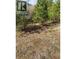 Kittyhawk Road Lot# Lot B, Kitchener, BC V0B1W1 Photo 12
