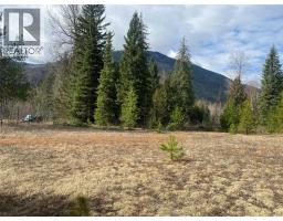 Kittyhawk Road Lot# Lot B, Kitchener, BC V0B1W1 Photo 6
