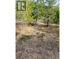 Kittyhawk Road Lot# Lot B, Kitchener, BC V0B1W1 Photo 11