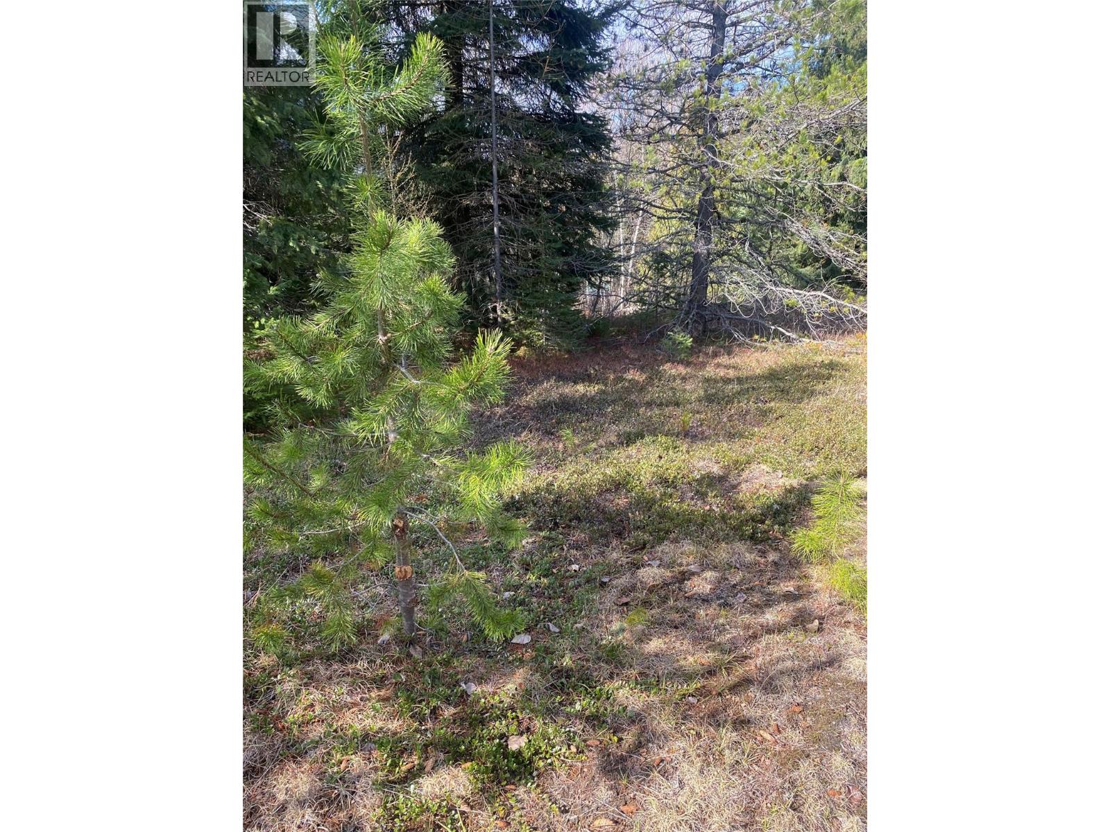 Kittyhawk Road Lot# Lot B — photo 15