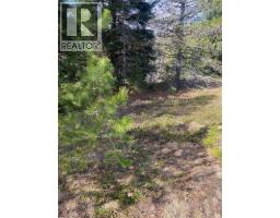 Kittyhawk Road Lot# Lot B, Kitchener, BC V0B1W1 Photo 15