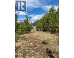 Kittyhawk Road Lot# Lot B, Kitchener, BC V0B1W1 Photo 16
