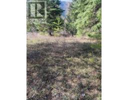 Kittyhawk Road Lot# Lot B, Kitchener, BC V0B1W1 Photo 17