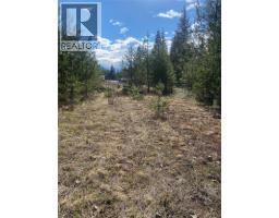 Kittyhawk Road Lot# Lot B, Kitchener, BC V0B1W1 Photo 14