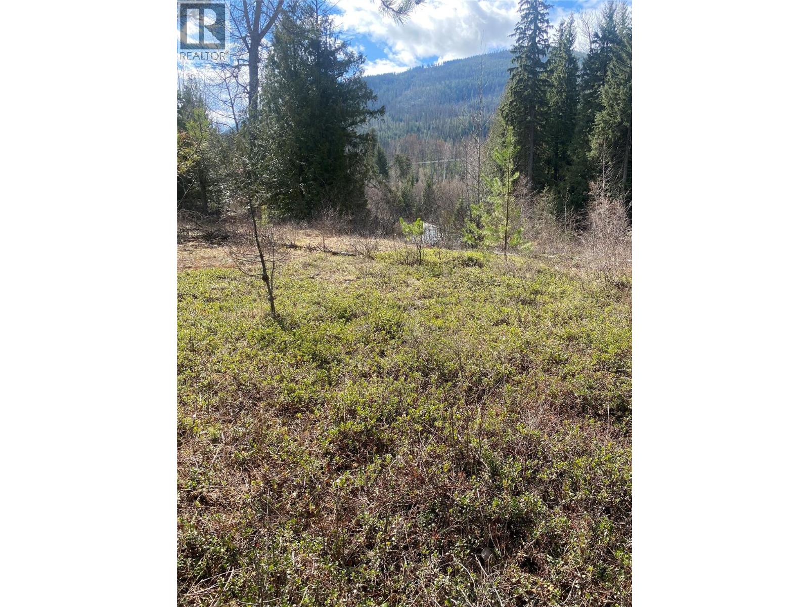 Kittyhawk Road Lot# Lot B — photo 18