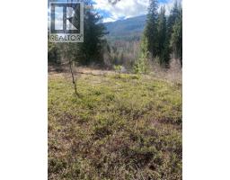 Kittyhawk Road Lot# Lot B, Kitchener, BC V0B1W1 Photo 18