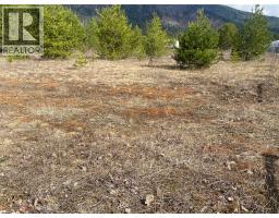 Kittyhawk Road Lot# Lot B, Kitchener, BC V0B1W1 Photo 23