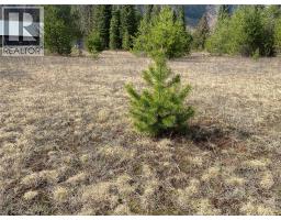 Kittyhawk Road Lot# Lot B, Kitchener, BC V0B1W1 Photo 26