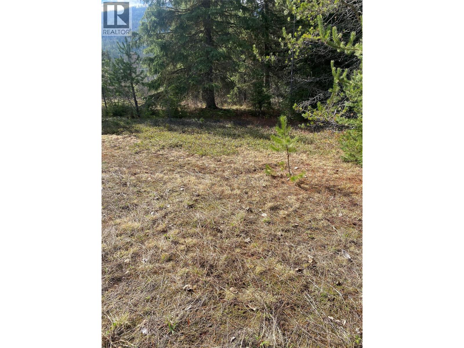 Kittyhawk Road Lot# Lot B — photo 13