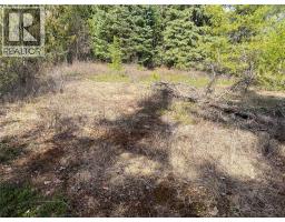 Kittyhawk Road Lot# Lot B, Kitchener, BC V0B1W1 Photo 19