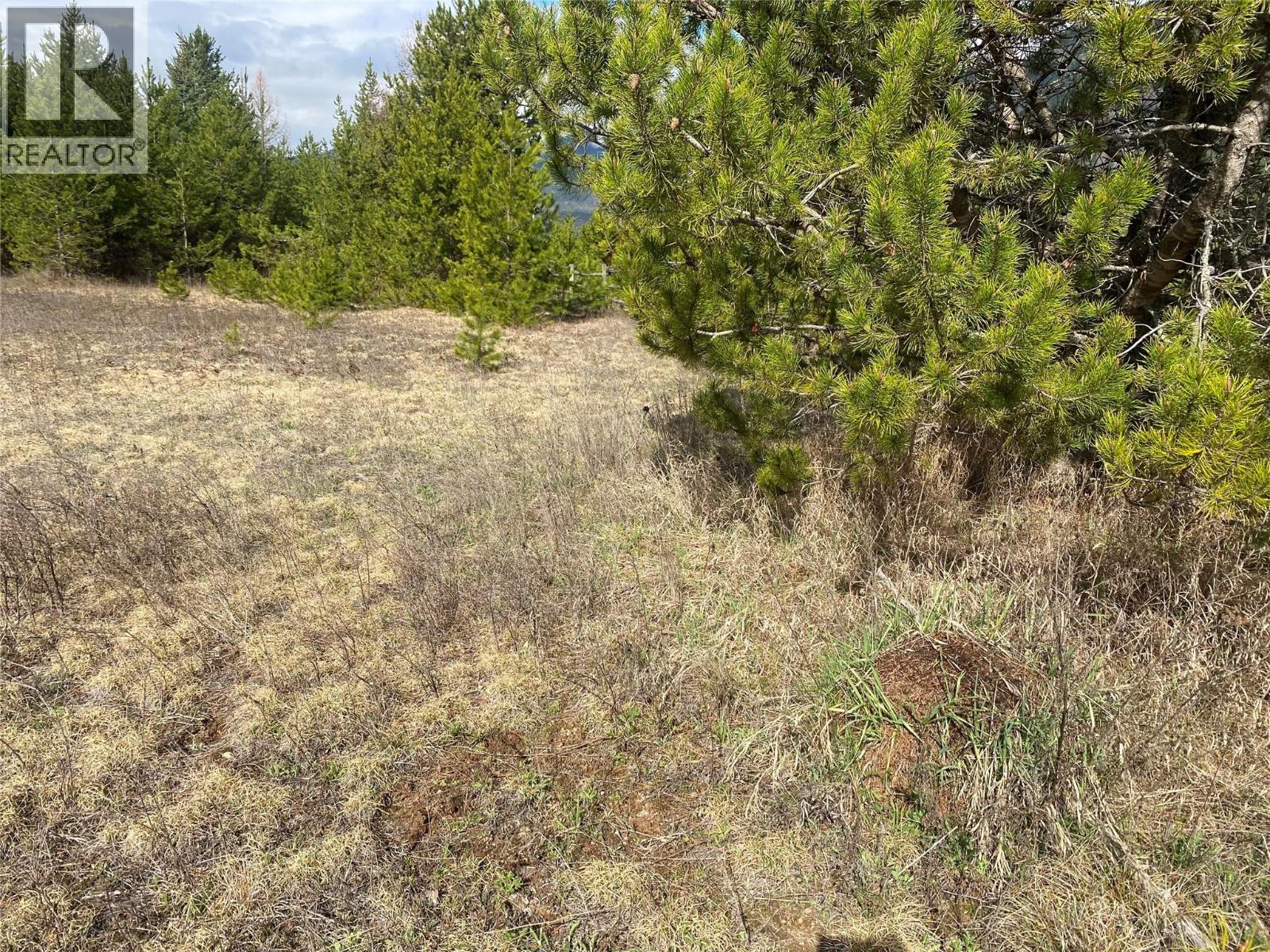 Kittyhawk Road Lot# Lot B — photo 29