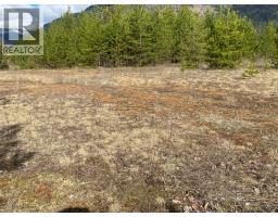 Kittyhawk Road Lot# Lot B, Kitchener, BC V0B1W1 Photo 24