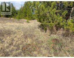 Kittyhawk Road Lot# Lot B, Kitchener, BC V0B1W1 Photo 29