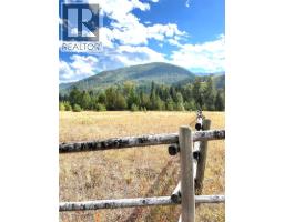 Kittyhawk Road Lot# Lot B, Kitchener, BC V0B1W1 Photo 31