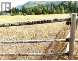 Kittyhawk Road Lot# Lot B, Kitchener, BC V0B1W1 Photo 32