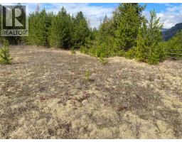 Kittyhawk Road Lot# Lot B, Kitchener, BC V0B1W1 Photo 28