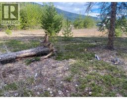 Kittyhawk Road Lot# Lot B, Kitchener, BC V0B1W1 Photo 21