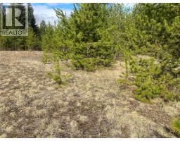 Kittyhawk Road Lot# Lot B, Kitchener, BC V0B1W1 Photo 25