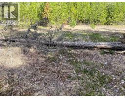Kittyhawk Road Lot# Lot B, Kitchener, BC V0B1W1 Photo 20