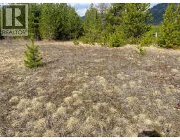 Kittyhawk Road Lot# Lot B, Kitchener, BC V0B1W1 Photo 27