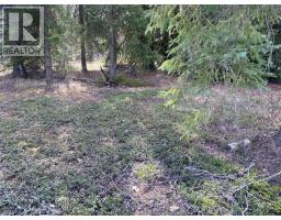 Kittyhawk Road Lot# Lot B, Kitchener, BC V0B1W1 Photo 22