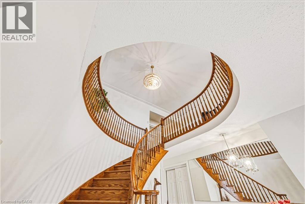 24 HILDEGARD Drive - 6
