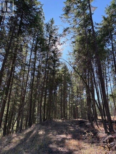 5600 CHRISTIAN VALLEY ROAD - 9