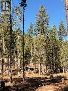 5600 CHRISTIAN VALLEY ROAD - 11