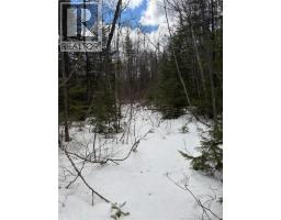 3.7 Acres Route 435, Maple Glen, NB E1V4X5 Photo 6