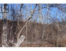 Lot Granville Road, Karsdale, NS B0S1A0 Photo 26