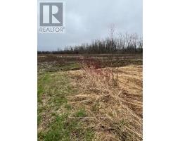 N/a Highway 48, Georgina, ON L0E1N0 Photo 6