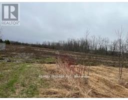 N/a Highway 48, Georgina, ON L0E1N0 Photo 7