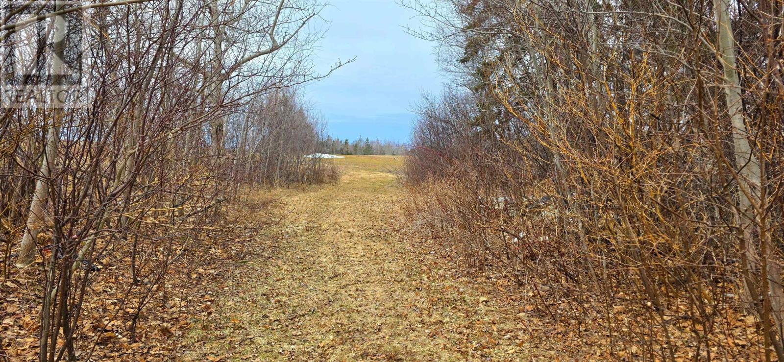 1869 COVEHEAD ROAD - 15