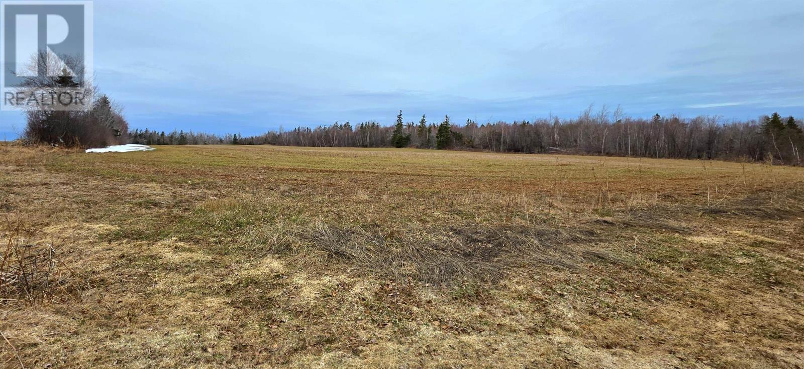 1869 COVEHEAD ROAD - 16