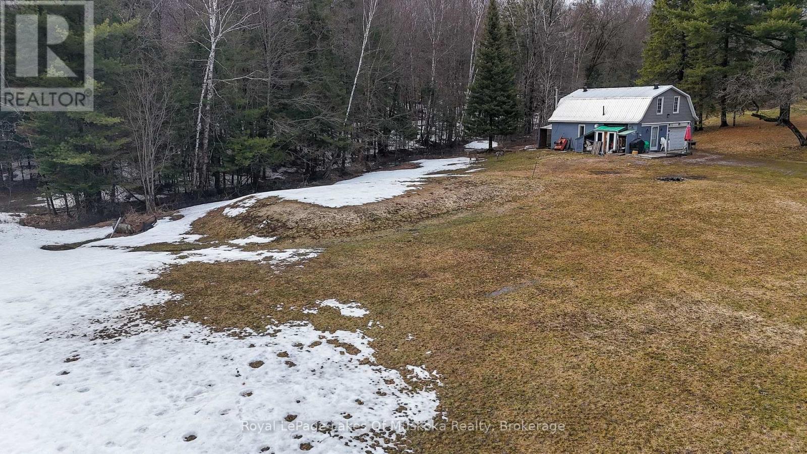 Large, Open Yard for Kids and Family
