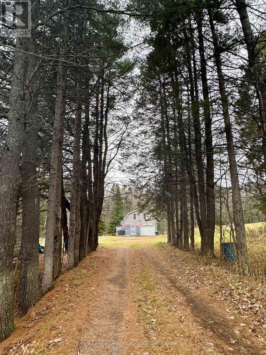 View From Road with Tree Lined Driveway