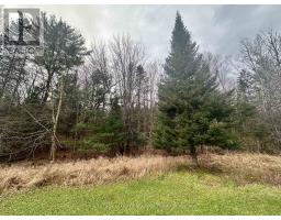 112 510 Highway, Magnetawan, ON P0A1P0 Photo 21