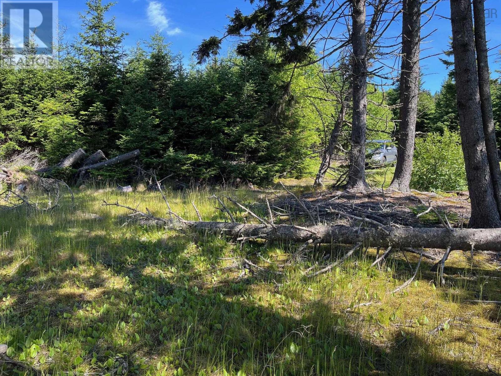 Property 7 of 8 of 8208 Highway 209